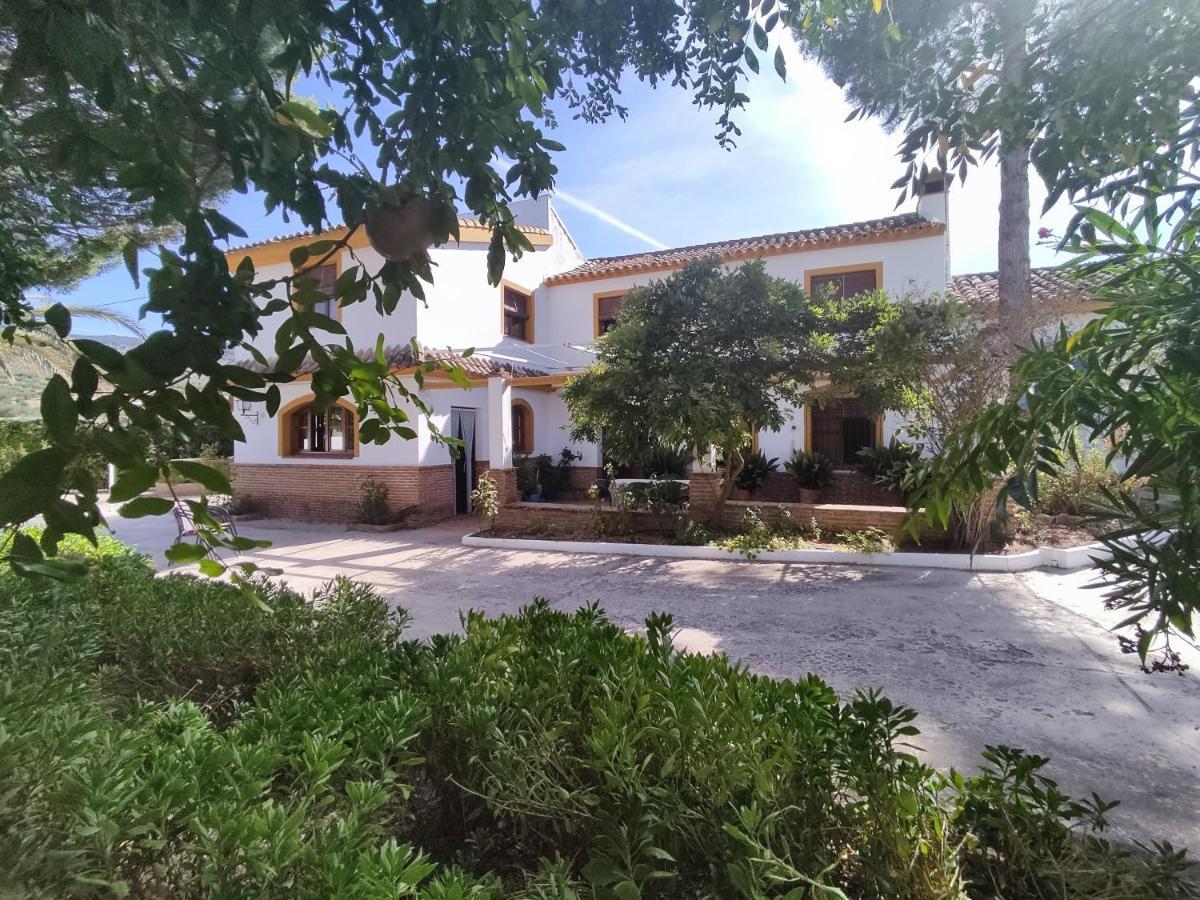 Paredejas Del Rey Priego de Córdoba Kültér fotó