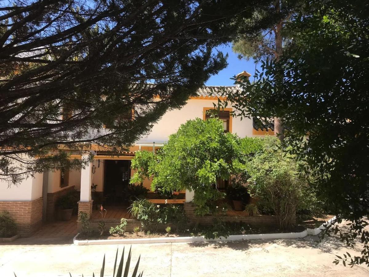 Paredejas Del Rey Priego de Córdoba Kültér fotó